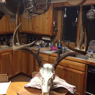 Profile Picture of Greg Tichenor (@Bigdaddyt7620) on Twitter