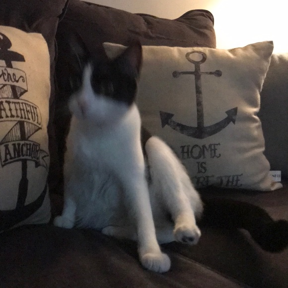 Profile Picture of Savannah Chase (@savannahchase7) on Poshmark