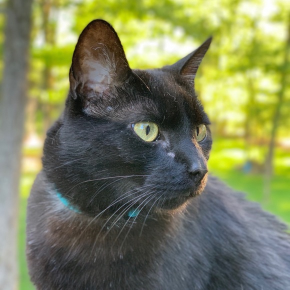 K Weissenfluh - Poshmark Profile Picture of K Weissenfluh (@wiznflu) on Poshmark