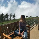 Profile Picture of joyce (@soltadespp) on Instagram