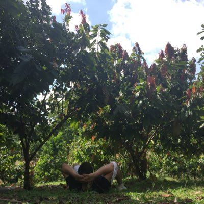 Profile Picture of Sandro Cabrera (@SandroCabrerART) on Twitter