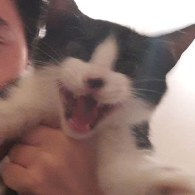 Profile Picture of Joseph (@TheWedge0300) on Twitter