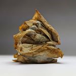 Profile Picture of Harry John Bird (@hjb_architecture) on Instagram