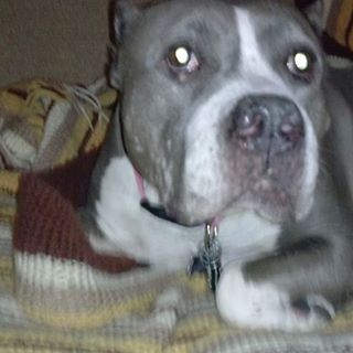 Profile Picture of John Childress (Greg) (@john.childress.5688) on Facebook