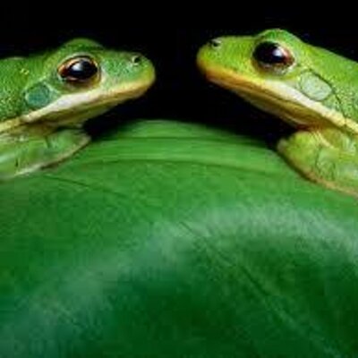 Profile Picture of Colton Lucas Carr (@Diabloca1172000) on Twitter