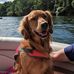 Profile Picture of Peter Seitzer (@peter.seitzer) on Facebook
