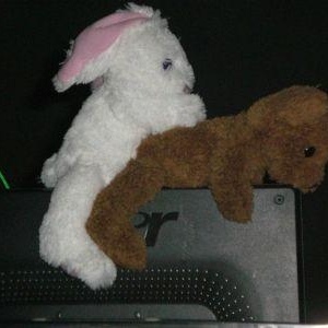 Profile Picture of Kira Morgenstern (@178318946) on Myspace