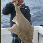 Profile Picture of hugomitchell (@hugomitchell) on Instagram