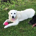 Profile Picture of Derek Houle (@derek.houle40) on Instagram