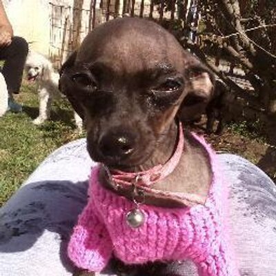 Profile Picture of Natalia Schneider (@natalia2897) on Twitter