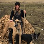 Profile Picture of Jodi Wheeler Reeder (@jodi_reeder) on Instagram