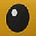 zack jones - Flickr Profile Picture of zack jones (@zmzan11) on Flickr