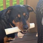 Profile Picture of Peter Wallis for President (@peterforamerica) on Instagram