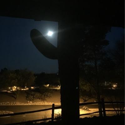 Profile Picture of Debbie McKenna (@MckDebbie) on Twitter