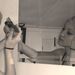 Profile Picture of Roxanne Spracklen (@roxzia) on Pinterest