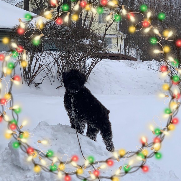 Profile Picture of Pamela Abbott (@queen2w) on Poshmark