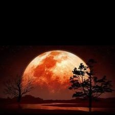 Profile Picture of Tori Nunn (@ToriNunn2) on Twitter