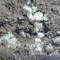 Profile Picture of Dustin Preston (@dustin-preston-6) on Quora