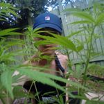 Profile Picture of Josh_steele_2170 (@josh.steele.2170) on Instagram