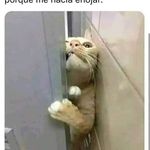 Profile Picture of Erik Camarillo (@camarillo9157) on Instagram