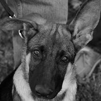 Profile Picture of Amy Hedrick (@amy-hedrick-2) on Quora