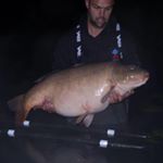 Profile Picture of terry_carper (@terry_carper) on Instagram