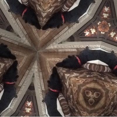 Profile Picture of Alison MacPherson (@amp207) on Twitter