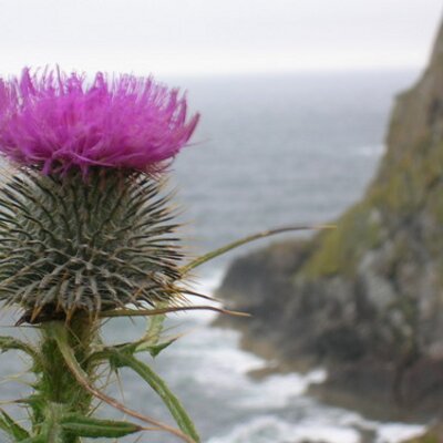 Profile Picture of Jan Bryson (@jbryson29) on Twitter