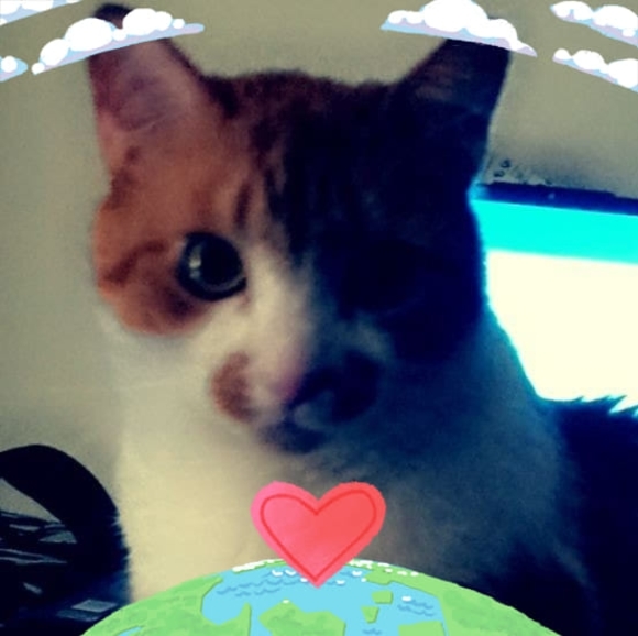 Danielisa Bebo - Poshmark Profile Picture of Danielisa Bebo (@danielisa) on Poshmark