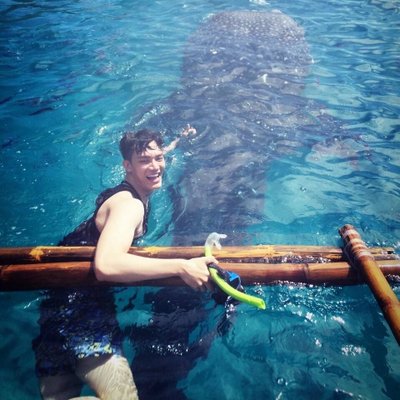 Profile Picture of Brad Tran (@BradTran9) on Twitter