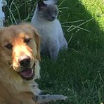 Profile Picture of Peg Giblin (@peg.giblin) on Facebook