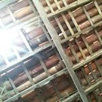 Profile Picture of jesse carneiro (@jessenota1000) on Instagram