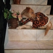 Profile Picture of Iveth Rivas (@ivethrivas4151) on Youtube