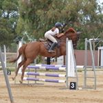 Profile Picture of 🇦🇺Kaylee Stephens🇦🇺 |11| (@ks_showjumping_) on Instagram