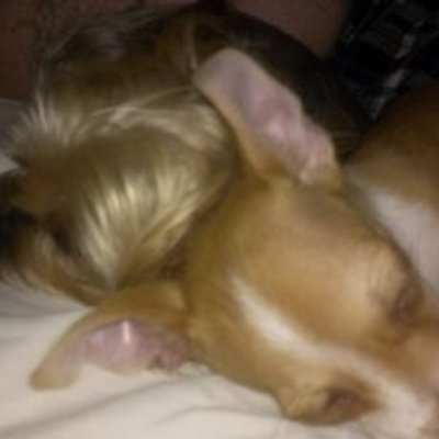 Profile Picture of Mike Riggins (@MtrRiggins) on Twitter