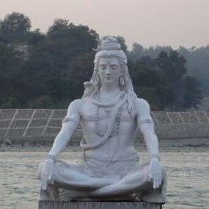 Profile Picture of Sultan Singh (@sultansingh617) on Twitter