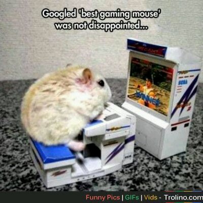 Profile Picture of James Miramontes (@MiramontesJames) on Twitter