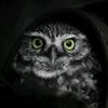 Profile Picture of Scott Duffield (@scott.duffield.photo) on Tiktok