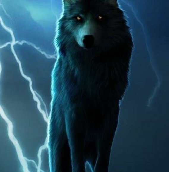 Profile Picture of Joseph Littles (@joelittles76) on Poshmark