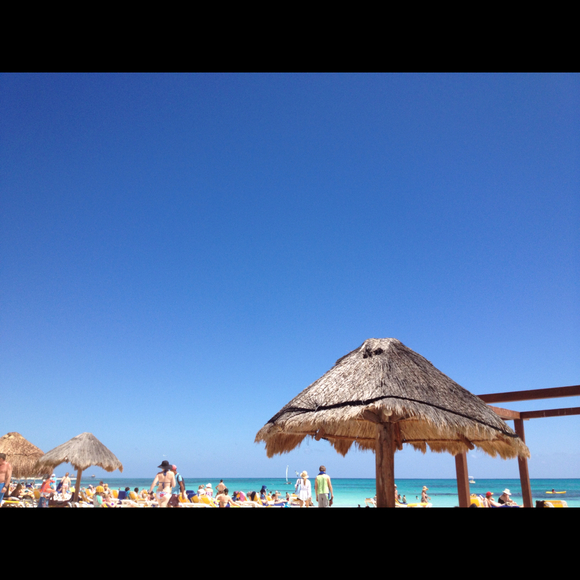 Meti Barbera - Poshmark Profile Picture of Meti Barbera (@ms318) on Poshmark