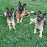 Profile Picture of Glenn Worley (@glennworley) on Instagram