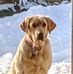 Profile Picture of Craig Cramer (@craig.cramer.161) on Facebook