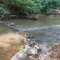 Profile Picture of Agron Berisha (@Cowabunga_Yall) on Twitter