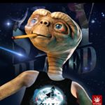 Jason Dillion - Instagram Profile Picture of Jason Dillion (@dillion123jason) on Instagram