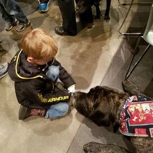 Profile Picture of Ralph Barrow Rock 'N B Mastiffs (@wrbarrow) on Twitter