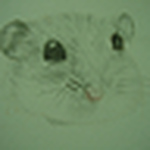 Athenna Chang - Flickr Profile Picture of Athenna Chang (@athennachang) on Flickr