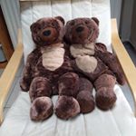 Profile Picture of Thomas Lerouge (@vandring_bjorn_broers) on Instagram