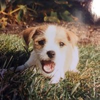 Profile Picture of Kelly Evert (@kelly-evert-1) on Quora