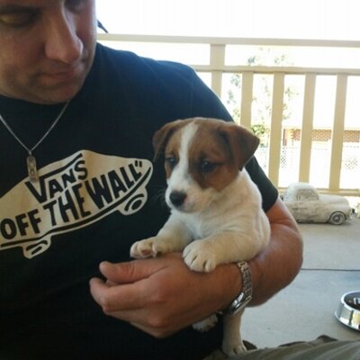 Profile Picture of Steve Forbes-Taber (@SteveFT11) on Twitter