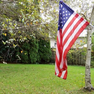 Profile Picture of Tom Swords  💿 (@TomSwords58) on Twitter